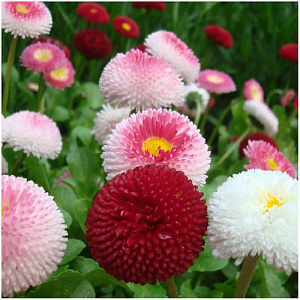 2e298c56fdde4a5b72a58040d58e8adb