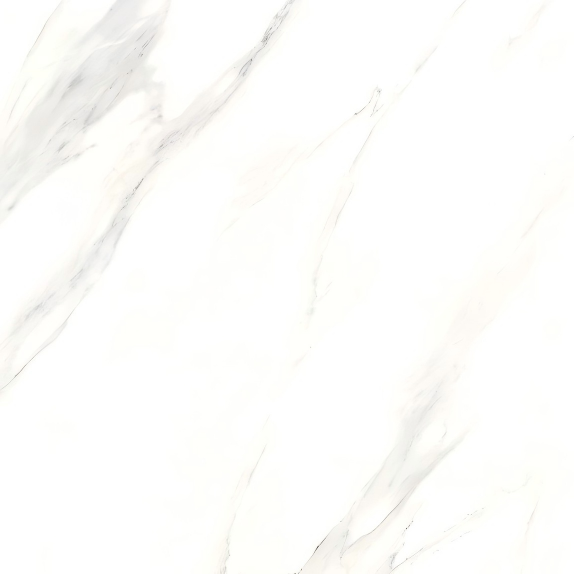 X6PT01T
