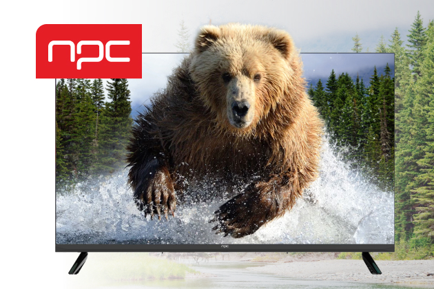 Телевизор NPC с диагональю 55" всего за 25490 !