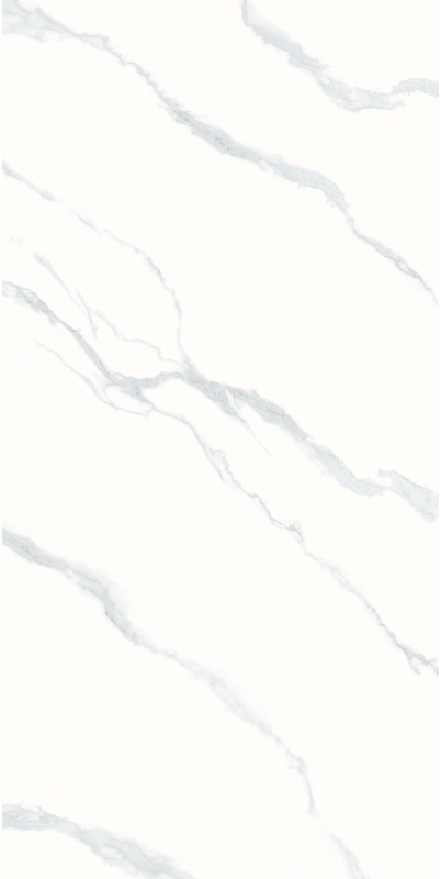 PY126948 (11)