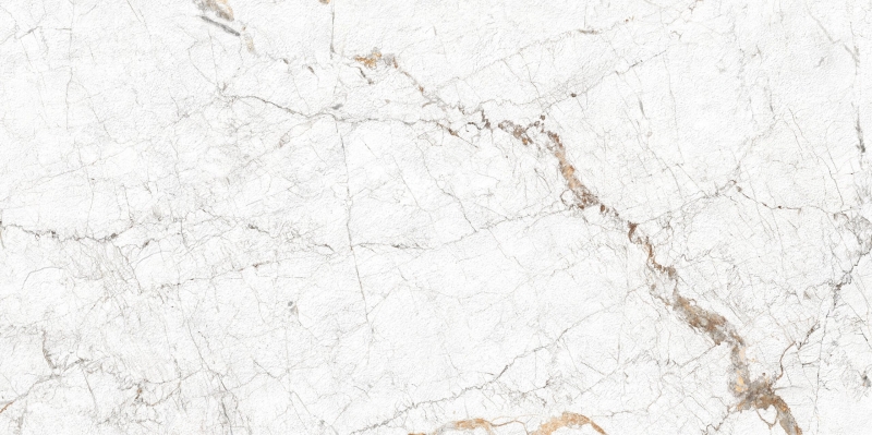 PP-02-632-1198-0598-1-007