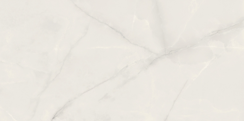 PP-01-304-1198-0598-1-004