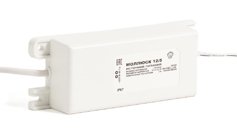 bastion mollyusk 5 2