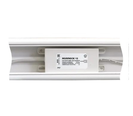 bastion mollyusk 3 3