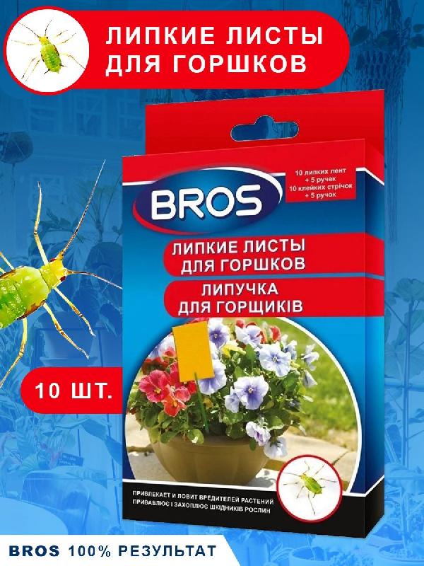 10-shtuk-dlya-gorshkov
