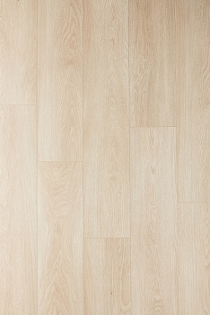 CXI147_Topshot-Long LR