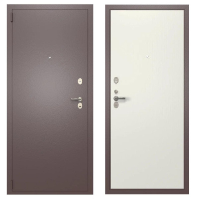 stalnaya-dver-ds-2-06peh-06-1