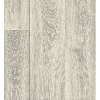 dub-tumannoe-utro-700x700