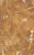 me2009603-2 me2009603-2