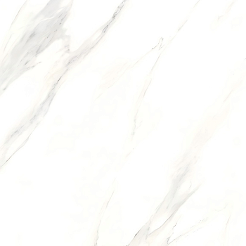 X6PT01T