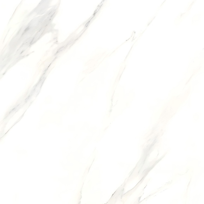 X6PT01T