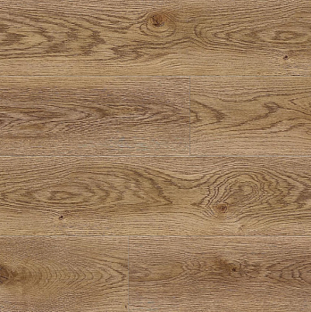 NC74 Dub Verdana - v sborke -small