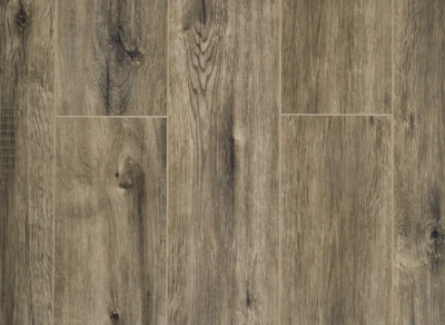 dub egipetskiy odnopolosnyy2016-5-2