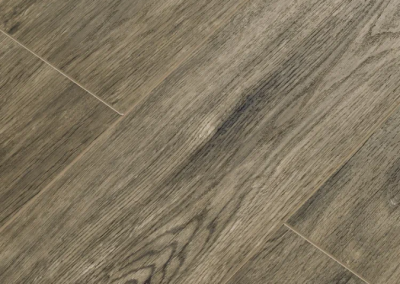 dub egipetskiy odnopolosnyy2016-5-3