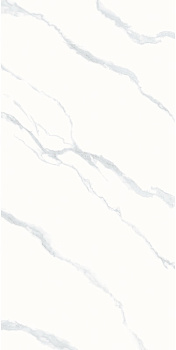 PY126948 (11)