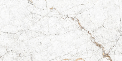 PP-02-632-1198-0598-1-007