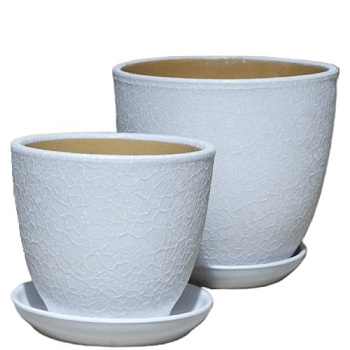 Shelk_belyy-transformed