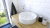 Aranz_Miran_Werbena_91274 Aranz_Miran_Werbena_91274