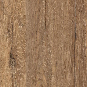 Dub brazilskiy korichnevyy