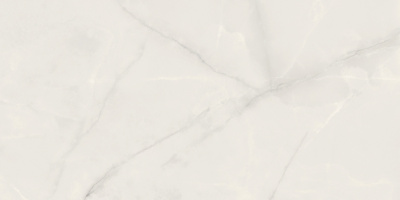 PP-01-304-1198-0598-1-004