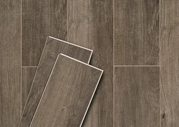 dub monreal odnopolosnyy 2014-6-1