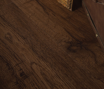 4209 Dub Ambarnyy int _2