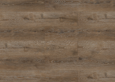 11quercus