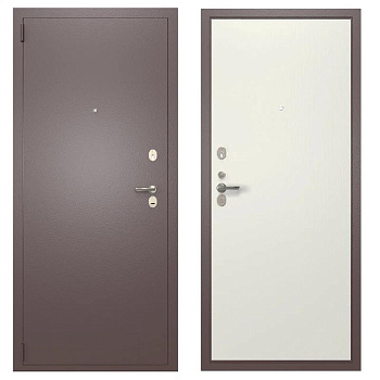 stalnaya-dver-ds-2-06peh-06-1