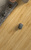 Alicia Honey Oak AI212045 (25) Alicia Honey Oak AI212045 (25)
