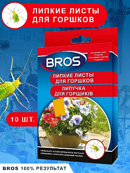 10-shtuk-dlya-gorshkov